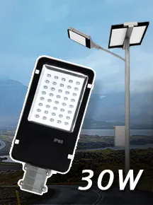 NSS-30W