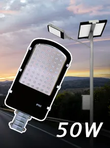 NSS-60W