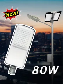 NSS-80W